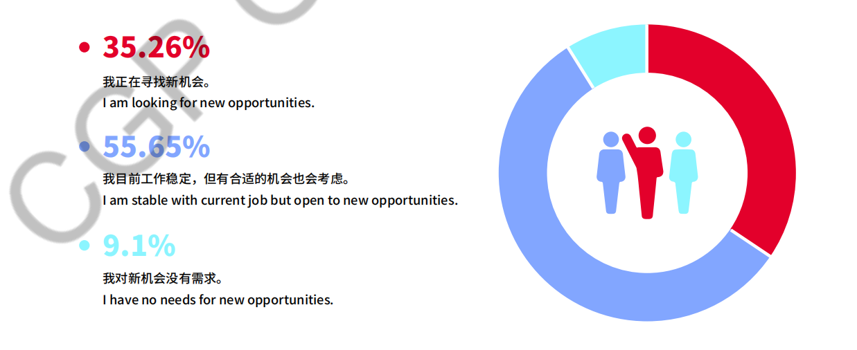 薪酬报告